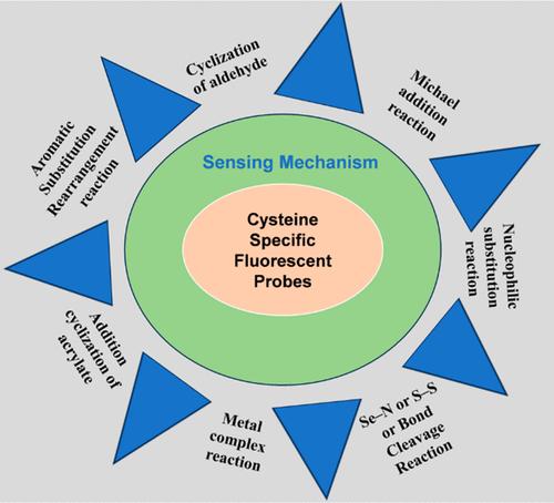 Sensing Mechanism of Cysteine Specific Fluorescence Probes and Their Application of Cysteine Recognition