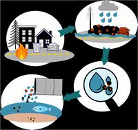 Wildland–urban interface wildfire increases metal contributions to stormwater runoff in Paradise, California†