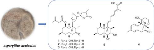 Aculeatiols A–G: Lovastatin Derivatives Extracted from Aspergillus aculeatus