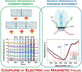 Magnetic fields promote electrocatalytic CO2 reduction via subtle modulations of magnetic moments and molecular bonding