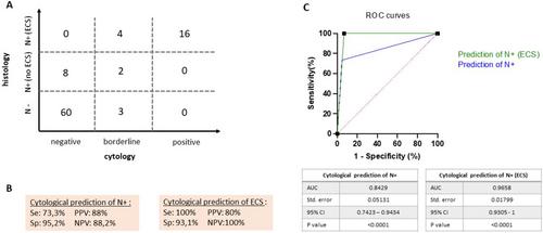 Prediction of lymph node status in patients with surgically treated head and neck squamous cell carcinoma via neck lavage cytology: A pilot study