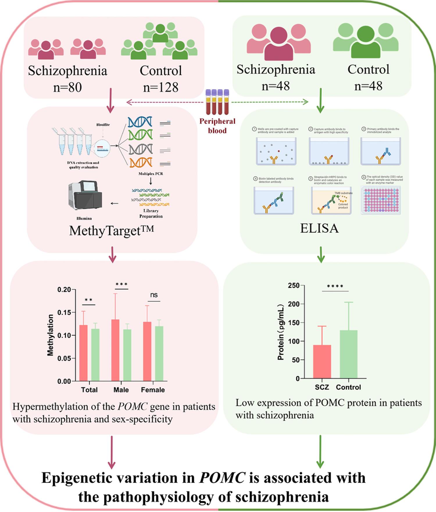 An analysis of POMC gene methylation and expression in patients with schizophrenia