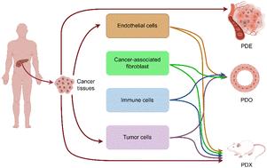 Pancreatic cancer environment: from patient-derived models to single-cell omics