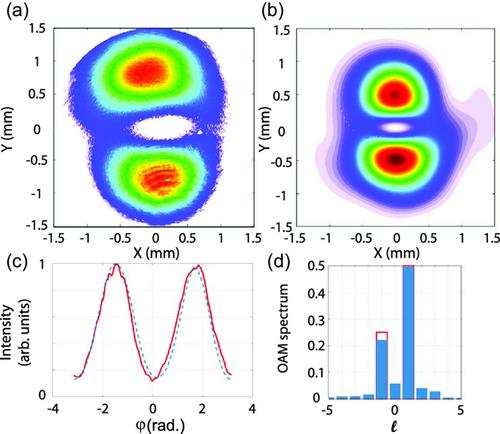 Holographic Storage of Ultrafast Photonic Qubit in Molecules