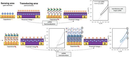 Nanoporous Dna Field Effect Transistor with Potential for Random-Access Memory Applications: A Selectivity Performance Evaluation