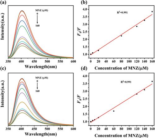 Rational Design of Carbon Dots Featuring High Spectral Overlap with Analyte for Effective Detection of Metronidazole via Inner Filter Effect