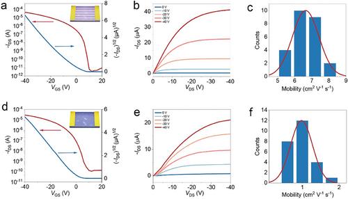 High-Performance Organic Phototransistors Based on Single-Crystalline Microwire Arrays