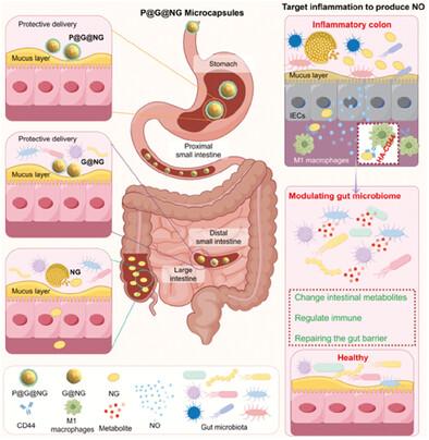 A Gas Therapy Strategy for Intestinal Flora Regulation and Colitis Treatment by Nanogel-Based Multistage NO Delivery Microcapsules