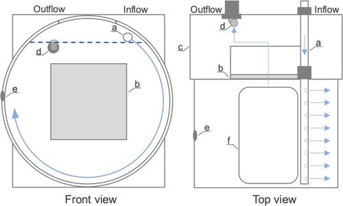 A temperature-controlled, circular maintenance system for studying growth and development of pelagic tunicates (salps)