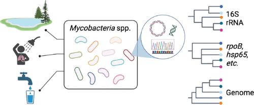 Toward Characterizing Environmental Sources of Non-tuberculous Mycobacteria (NTM) at the Species Level: A Tutorial Review of NTM Phylogeny and Phylogenetic Classification