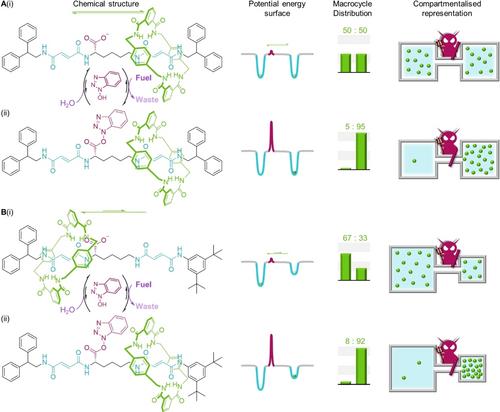 Membrane Transport, Molecular Machines, and Maxwell's Demon