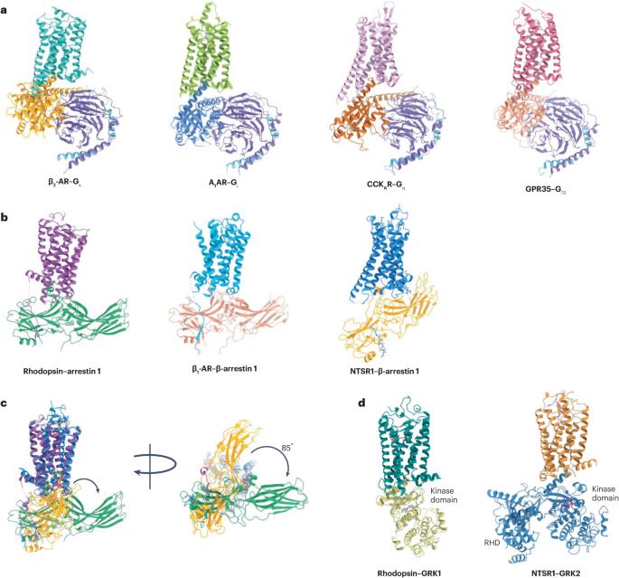 Cryo-electron microscopy for GPCR research and drug discovery in endocrinology and metabolism