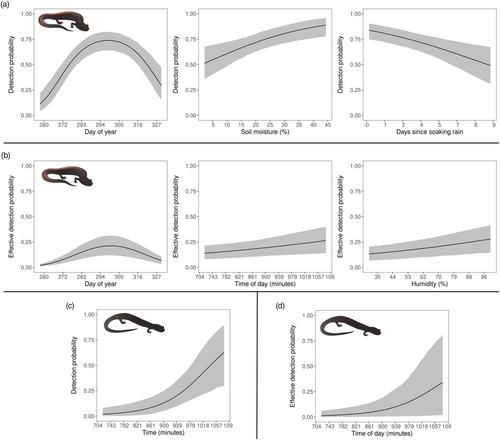 Specialist or refugee: Microhabitat use and competition between two sympatric woodland salamanders