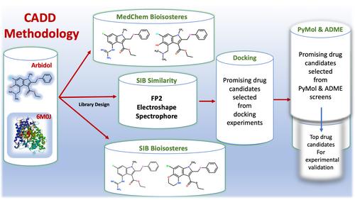 An interdisciplinary course on computer-aided drug discovery to broaden student participation in original scientific research