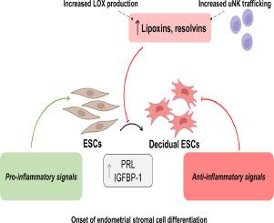 Alterations in the pro-resolving lipid mediator machinery within first trimester maternal tissue: Implications in decidualization and miscarriage risk