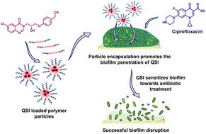 Triblock copolymer micelles enhance solubility, permeability and activity of a quorum sensing inhibitor against Pseudomonas aeruginosa biofilms†