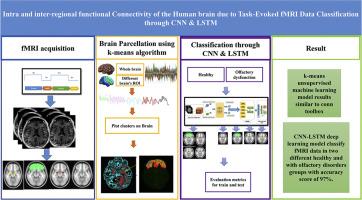 Intra and inter-regional functional connectivity of the human brain due to Task-Evoked fMRI Data classification through CNN & LSTM