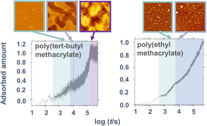 Melt adsorption of poly(tert-butyl methacrylate) and poly(ethyl methacrylate) on silica studied with chip nanocalorimetry