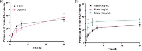 Investigation of the early apical release from endodontic hydrogels: A 3D printed model