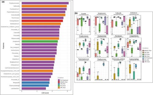 Effect of supplementary sodium hypochlorite agitation techniques on an ex vivo oral multispecies biofilm during passive disinfection of simulated immature roots