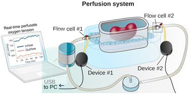 Versatile, in-line optical oxygen tension sensors for continuous monitoring during ex vivo kidney perfusion†