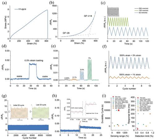 A Stretchable and Tough Conductive Elastic Film for Multifunctional Flexible Strain Gauges