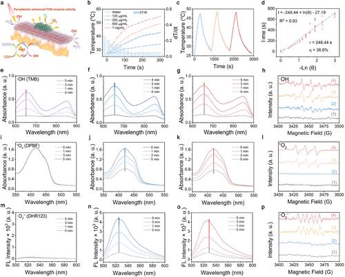 Synergizing Pyroelectric Catalysis and Enzyme Catalysis: Establishing a Reciprocal and Synergistic Model to Enhance Anti-Tumor Activity