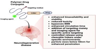 Polymer–drug conjugates as nano-sized multi-targeting systems for the treatment of Alzheimer's disease