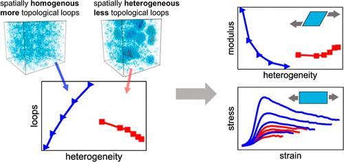 Interplay of Spatial and Topological Defects in Polymer Networks