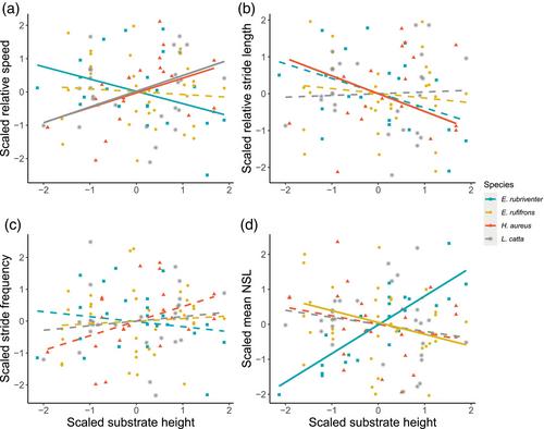 From such great heights: The effects of substrate height and the perception of risk on lemur locomotor mechanics