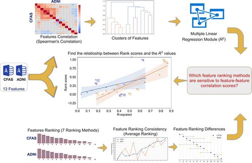 Ranking and filtering of neuropathology features in the machine learning evaluation of dementia studies