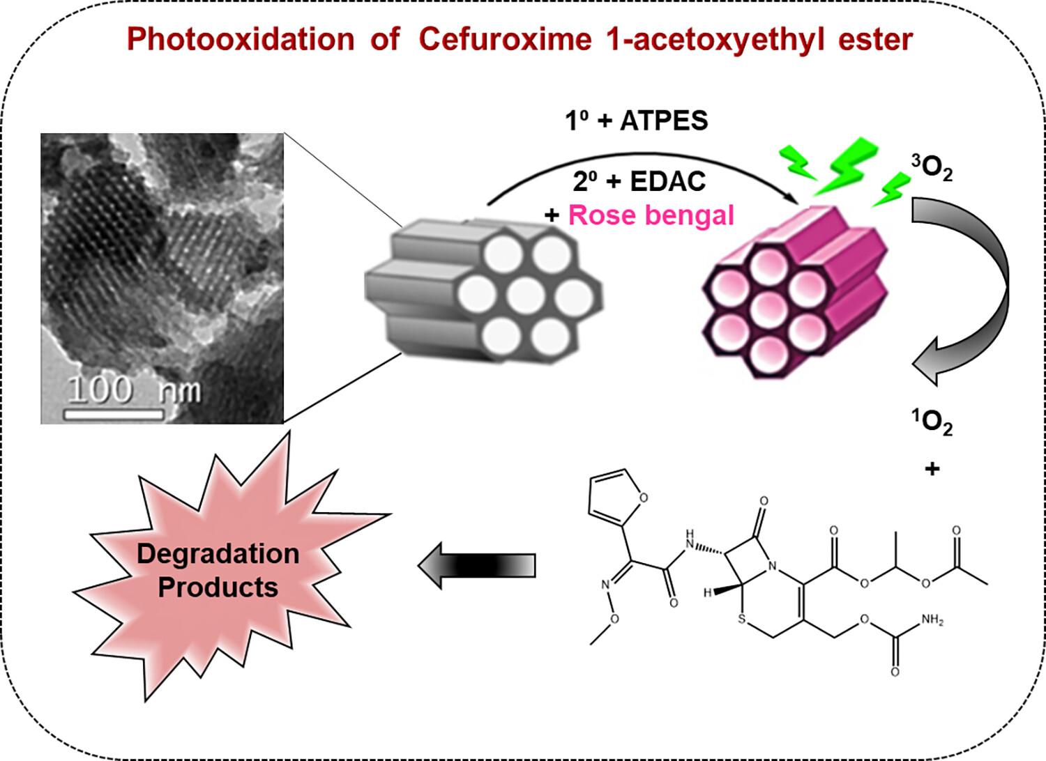 Photooxidation of organic compounds by mesoporous silica functionalized with rose bengal