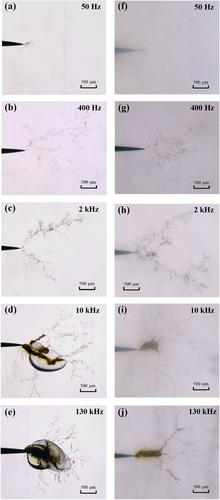 Electrical tree degradation of MgO/epoxy resin composites at different voltage frequencies