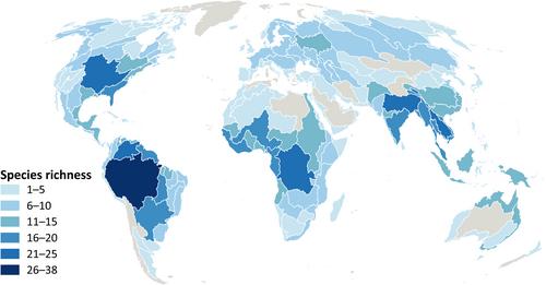 Freshwater megafauna shape ecosystems and facilitate restoration