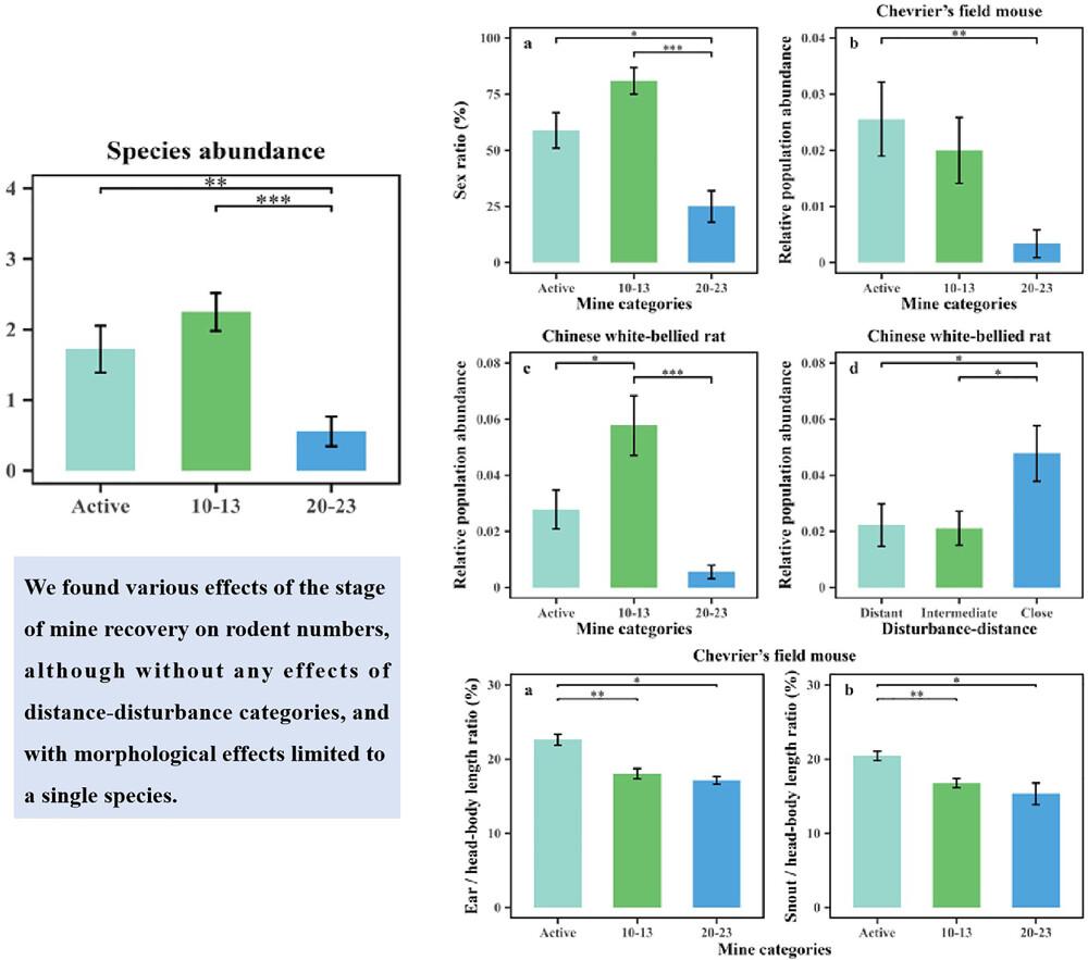 Recovery of small rodents from open-pit marble mining: effects on communities, populations, and individuals