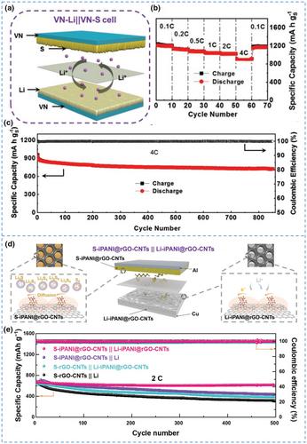 Lithium Sulfur Batteries: Insights from Solvation Chemistry to Feasibility Designing Strategies for Practical Applications