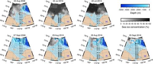 Sea-ice loss accelerates carbon cycling and enhances seasonal extremes of acidification in the Arctic Chukchi Sea