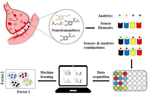 Optical Sensor Arrays for the Detection of Neurotransmitters