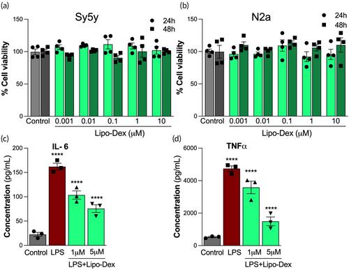 Sex-dependent improvement in traumatic brain injury outcomes after liposomal delivery of dexamethasone in mice