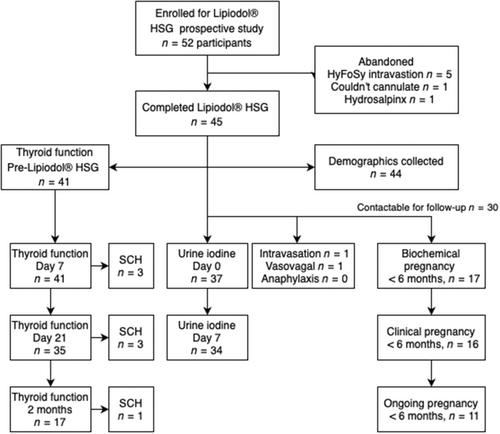 Ultrasound-guided Lipiodol® hysterosalpingography: A prospective study on pregnancy and complication rates