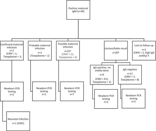 Clinical utility of maternal TORCH screening in fetal growth restriction: A retrospective two-centre study