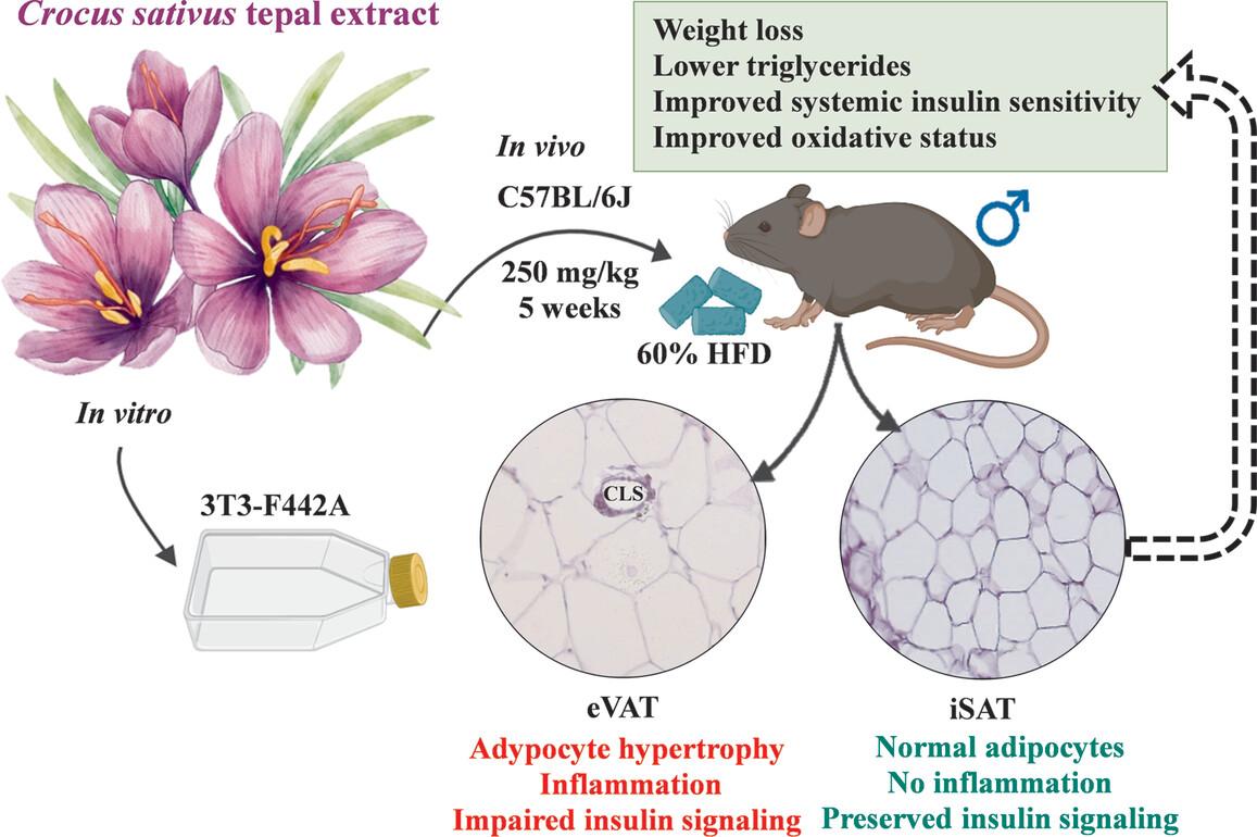 Crocus sativus tepals extract suppresses subcutaneous adipose tissue hypertrophy and improves systemic insulin sensitivity in mice on high-fat diet