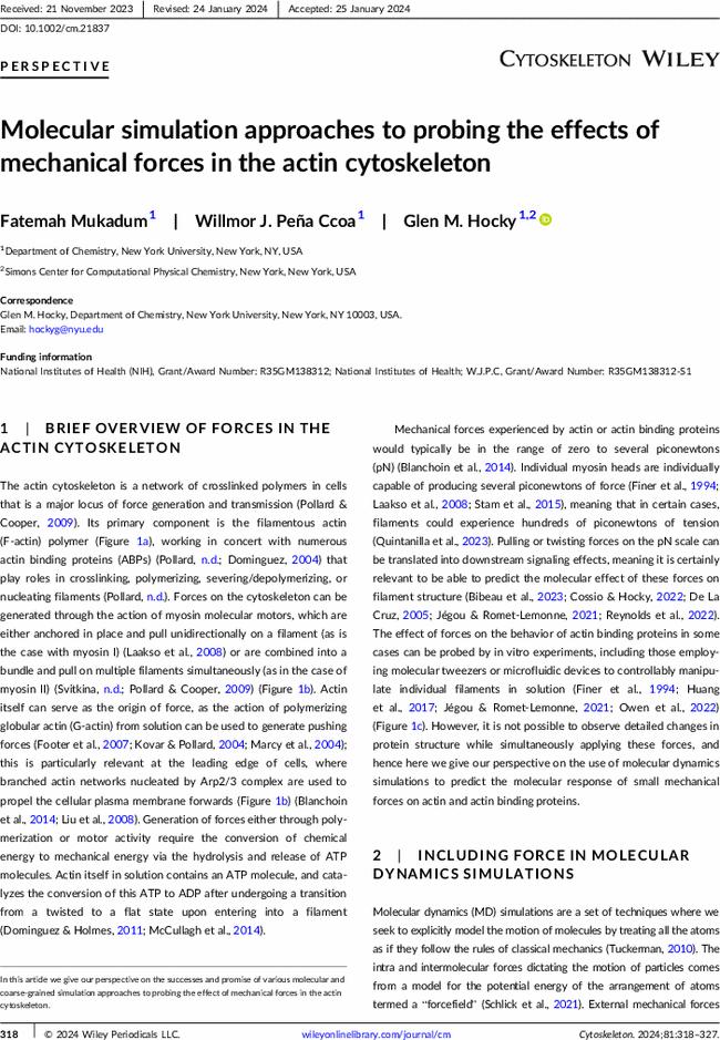 Molecular simulation approaches to probing the effects of mechanical forces in the actin cytoskeleton