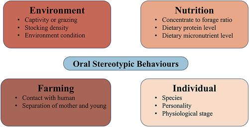 Oral stereotypic behaviors in farm animals and their causes