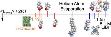 Probing the interfacial structure of aqueous surfactants through helium atom evaporation†