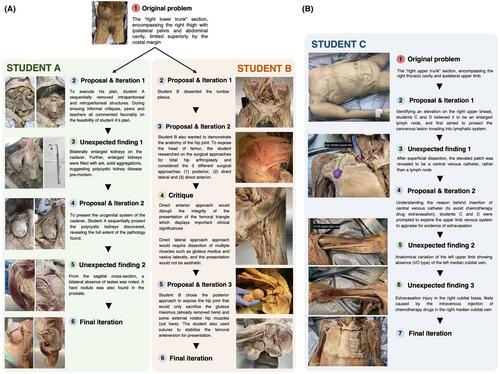 Reimagining human dissection in preclinical medical education using studio-based learning: A retrospective pilot study