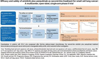 Efficacy and safety of anlotinib plus penpulimab as second-line treatment for small cell lung cancer: A multicenter, open-label, single-arm phase II trial