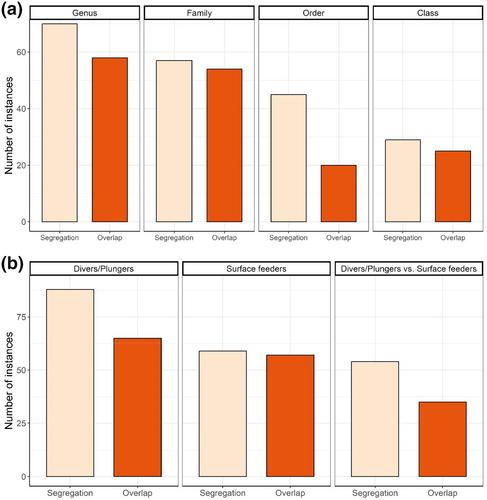 A review of niche segregation across sympatric breeding seabird assemblages