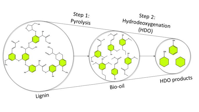 Hydrotreating of Lignocellulosic Bio-Oil (A Review)