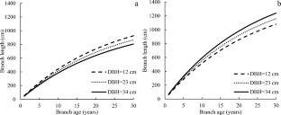 Nonlinear mixed-effect branch growth model development for planted Korean pine in Northeast China